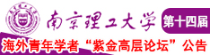 大黑鸡吧肏小嫩屄视频南京理工大学第十四届海外青年学者紫金论坛诚邀海内外英才！